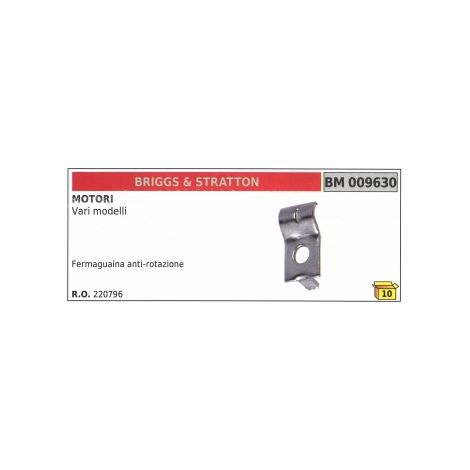 BRIGGS&STRATTON Gehäusehalter mit Verdrehsicherung für Mähmotoren verschiedener Modelle