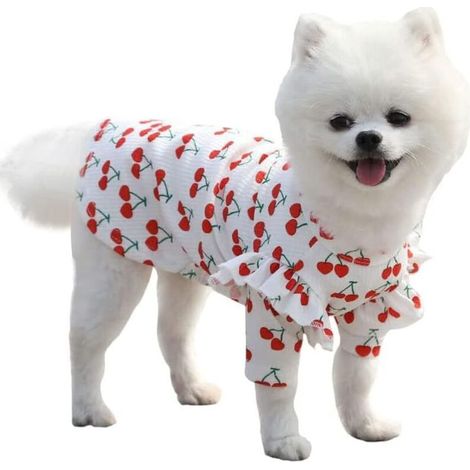 T-shirt Pour Chien - 1 Pièce - Coton 98% - Taille M (Buste 40 cm, Longueur 30 cm) - Pour Chiens de Petite et Moyenne Taille (1/3)