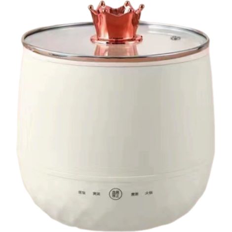 Mini cuisinière électrique multifonctionnelle et intelligente, idéale pour les dortoirs et les étudiants. (1/5)