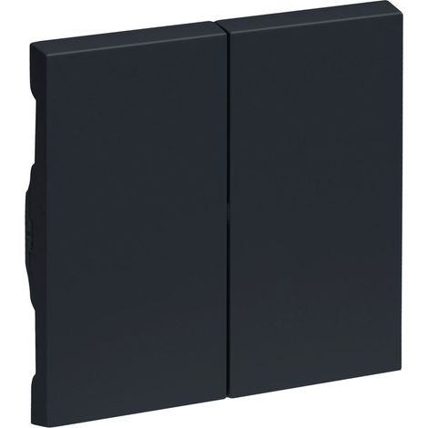 Legrand SERIENWIPPE ANTHRAZIT LACKIERT (765408 SEANO) (1/3)