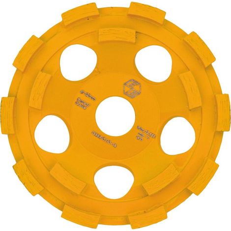Eibenstock Diamantschleifteller Ø125 Estrich (1/2)