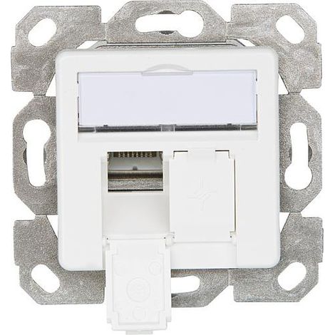 Prise réseau encastré insert avec plaque centrale CAT 6a 2 ports Telegärtner 100000007 blanc-alpin Q014441 (1/3)