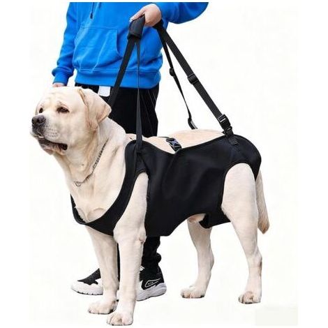 Harnais de Levage/Transport pour Chien, Harnais de Levage pour Chien, Harnais Chien de Levage, Support Sécurité Jambe Arrière, pour Chiens Âgés, Blessures Articulaires, Arthrite (M) (1/5)