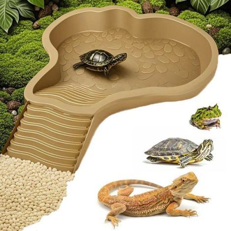 Abreuvoir Tortue Terrestre - Rampe Intégrée - Pour Reptiles et Amphibiens - 1 Pièce