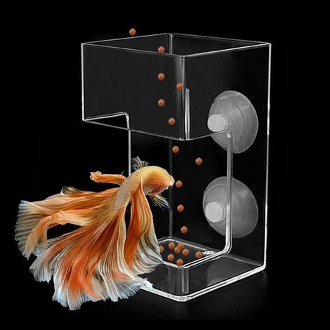 Mangiatoia automatica quadrata in due pezzi per pesci - design anti-intasamento con anello galleggiante - mangiatoia per acquario - mangiatoia per guppy - 10×6×6 cm - adatta per alimentare vari pesci 