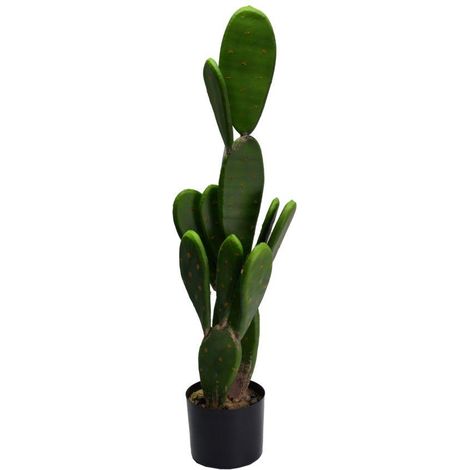 Pianta cactus con vaso tondo cmø14h84