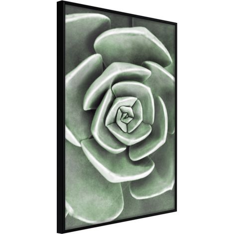 Affiche Murale Encadrée "Robust Plant" 21 x 30 cm Noir