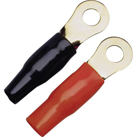 Cosses de câble à oeillet 50 mm² Sinus Live Sinuslive RKS-50 P2 (1/2)