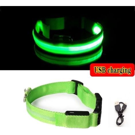 (Grünes USB-Ladekabel M) Anti-Verlust-LED-Leuchthalsband für Hunde, Nachtaccessoire für Welpen, USB-Ladegerät, Akku (1/4)