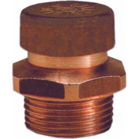 Bouchon reniflard 3/8" avec anti-poussière (Lot de 5) (1/2)