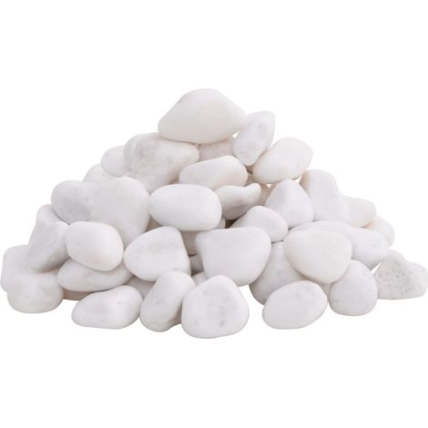 vidaXL Galets polis 10 kg blanc 2-5 cm (1/3)