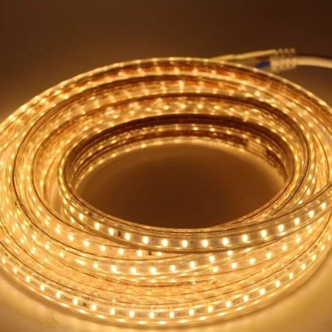 Bande lumineuse LED 5050, bande lumineuse flexible haute tension 220V, étanche et anti-choc électrique, bande lumineuse d'ambiance pour plafond/mur paysager, 5 mètres de long, avec prise standard euro (1/5)