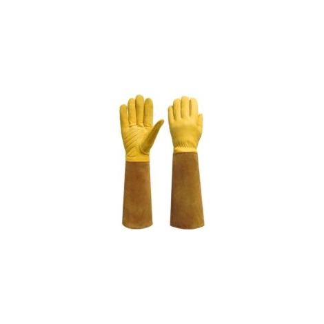 Gants de protection RONCIER épines et ronces - Taille 11.5cm - Brun (1/5)
