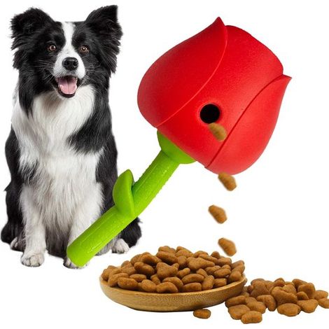 Distributeur interactif pour chien – Balle à mordiller – Alimentation lente – Jouet de réflexion – Rouge – Petites et moyennes races (1/5)