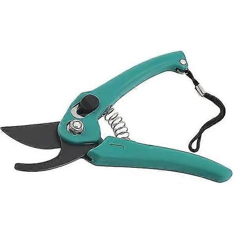 Sécateur, cisaille de jardin, outils de jardinage, ciseaux à fleurs et à gazon, sécateur, ciseaux à branches, cisaille de jardin-AquaForge