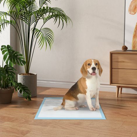 Tapis d'apprentissage pour chiens, 80 unités, 60 x 60 cm, 6 couches, séchage rapide, surface imperméable, bleu