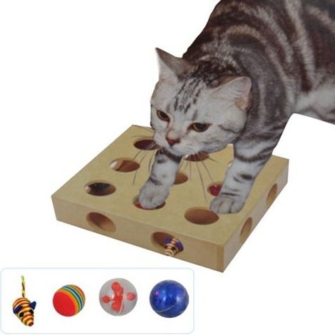 Beschäftigungsspielzeug für Katzen Katzenspielzeug Katzenbrett Spielkasten