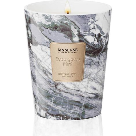 Duftkerze Eukalyptus Minze im Glas Sojawachs 400g 2 Dochte Geschenkidee