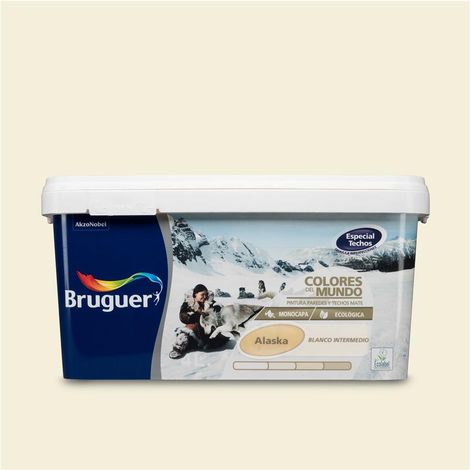 PINT PLAST ALASKA BLANCO INTER