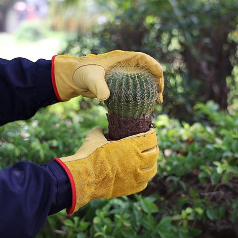 Filiyano-Une paire de gants de jardin jaunes XL, gants de travail élastiques (1/5)