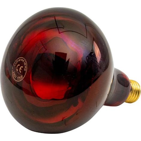 Ampoule infrarouge 175 W rouge UKAL (1/4)