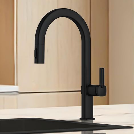 IMEX - Grifo de Cocina Extraíble con Difusor Serie Canada Negro Mate (1/5)