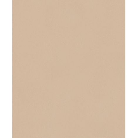 ERISMANN Papier Peint Vinyle Grainé sur Intissé Nude réf. 6342-32 (1/4)