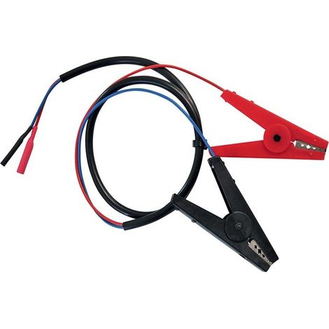 Câble de connexion pour batterie 12 v