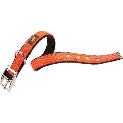 Ferplast DUAL CF COLOURS Collare per cani con fibbia in metallo, 4 misure e 4 colori. Variante CF20/43 - Misure: A: 35-43 cm B: 20 mm - Arancione (1/3)