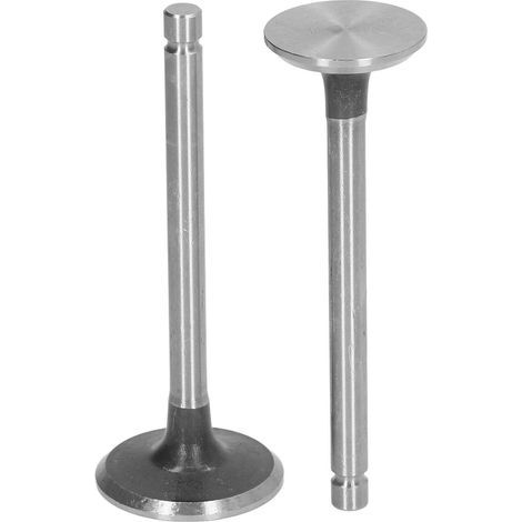 Kit de générateur sans bavure d'acier allié de ensemble de soupape d'échappement d'admission de 2 pièces pour Mini motoculteur (1/5)