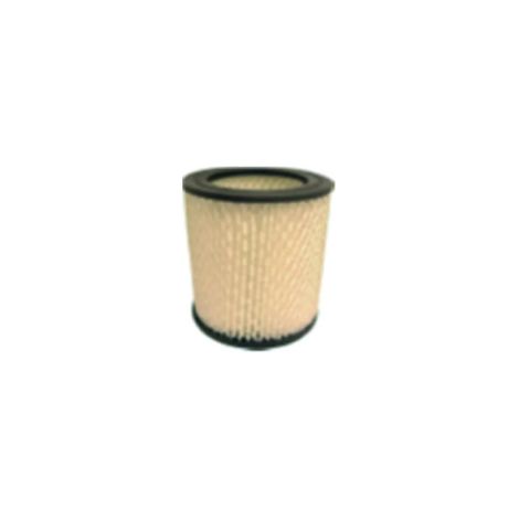 Filtre HEPA de remplacement ignifuge pour aspirateur a' cendres e'lectrique Excell 12 litres