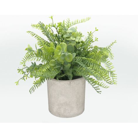 FELCE MIX IN VASO DI CEMENTO 23 CM (1/4)