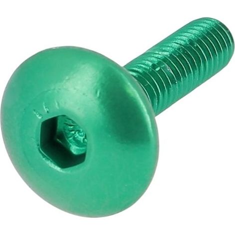 Blister de 8 TRLHC M5X25 Alu P60 OA Vert