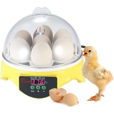 Incubateur automatique pour 7 œufs avec contrôle numérique de la température - pour élevage de volailles - Poulet Canard Caille,