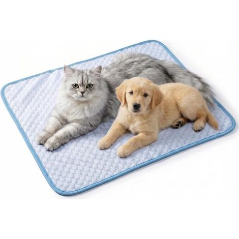 Kühlmatte für Hunde geeignet für kleine Haustiere bis 5 kg 50 x 40 cm gelfrei selbstkühlende Eisseidenmatte rutschfest tragbares Sommerbett für blau (1/2)
