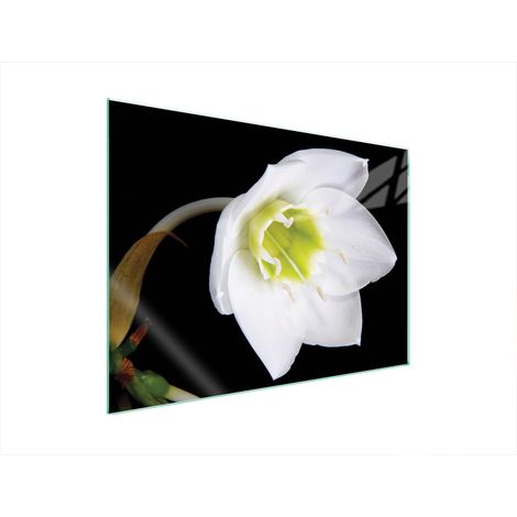 GLASSCHUTZPLATTE FÜR HERD 70x52 ORCHIDEE (1/5)