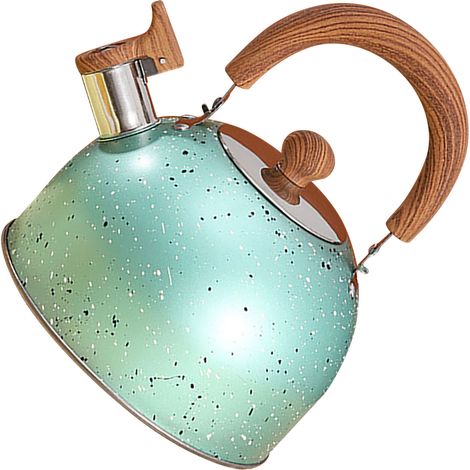 Bouilloire en acier inoxydable avec sifflet, grande capacité, fond lisse, compatible avec les plaques à gaz et à induction, pour faire bouillir de l'eau, 2 litres, verte (1/5)