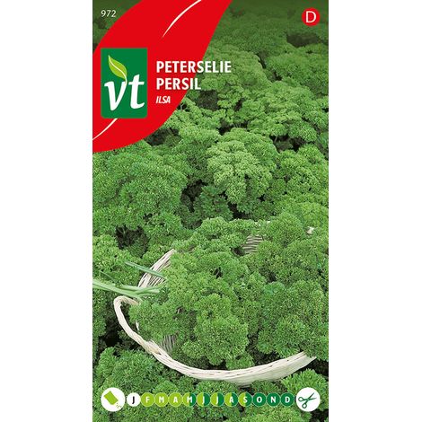Persil Ilsa - Ca. 3 gr (Livraison Gratuite) (1/2)