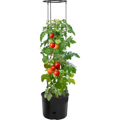 Maison Exclusive - Vaso a Torre per Pomodori Antracite Ø39x150 cm Polipropilene