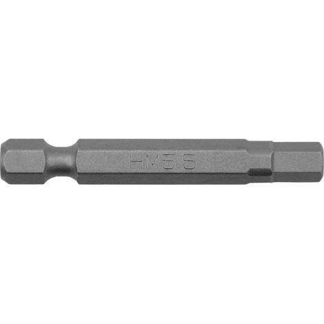 Embouts de tournevis 5,5 mm (longueur 50 mm, embouts pour vis Torx intérieure, en acier spécial S2