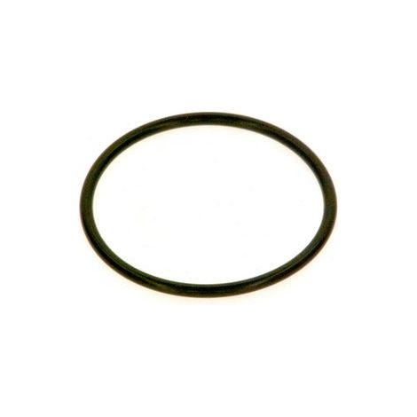 BOSCH Joint torique Armature V44 everp, 8718584784