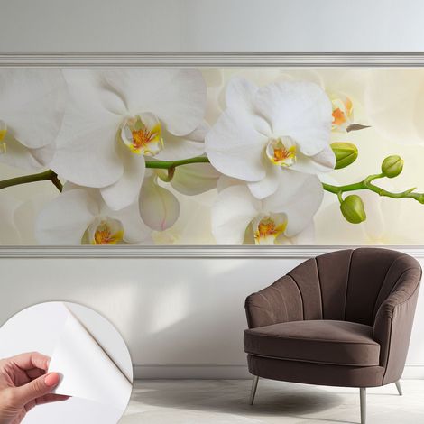 Fototapete Selbstklebend - Wandtattoo - leicht anzubringen - Wandverkleidung Blumenpracht 250x104 cm (1/5)