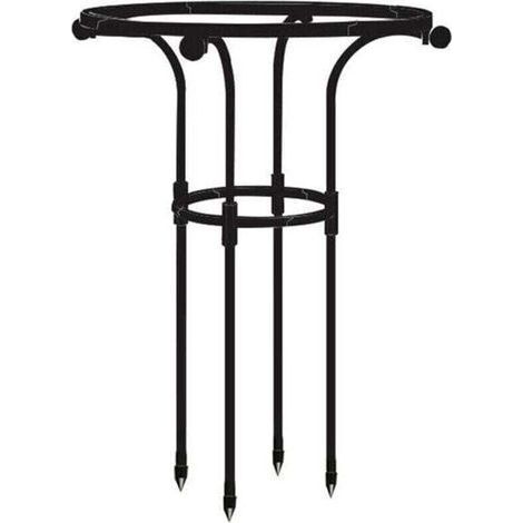 Traliccio per piante rampicanti – supporto di arrampicata nero (altezza 65 cm, diametro 20 cm) (1/5)
