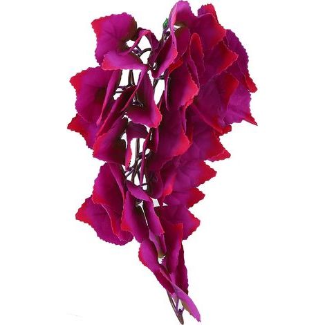 Plantes reptile – feuilles suspendues T‑1034J1 – ventouse – aquarium (1/5)