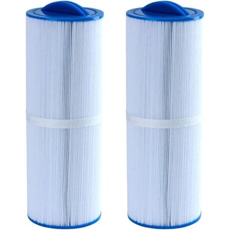 Filtre de spa FD2007 compatible avec les filtres de remplacement pour spa PWW50L 4CH-949 FC-0172. lot de 2 (1/4)