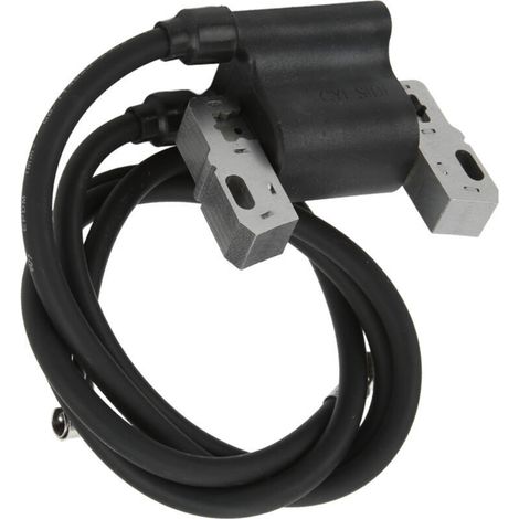 Bobine d'allumage de tondeuse à gazon 394891 394895 pour moteur à double tête 16HP 17HP 18HP 401415 401417. (1/5)