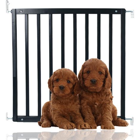 Bettacare Simply Secure Wooden Screw Fit Gate, 72cm - 79cm, Black, Wooden Dog Gate Gate, Screw Fit Pet Stair Gate, Puppy Gate