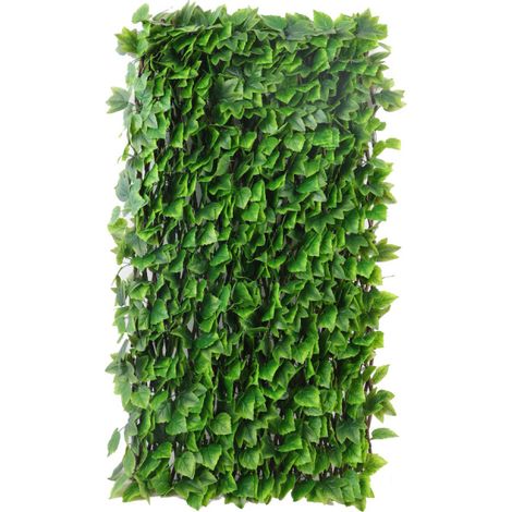 Treillis Lierre de Boston JET7GARDEN 1x20m (1/3)