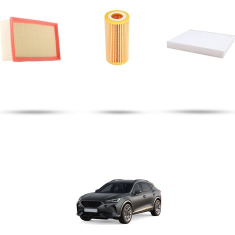 Kit tagliando 3 filtri compatibile con Cupra Formentor 2.0 TSI 180kw dal 2021 (1/5)