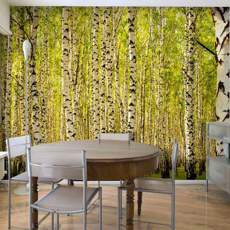 Papier peint forêt de bouleaux - 350 x 270 cm (1/4)